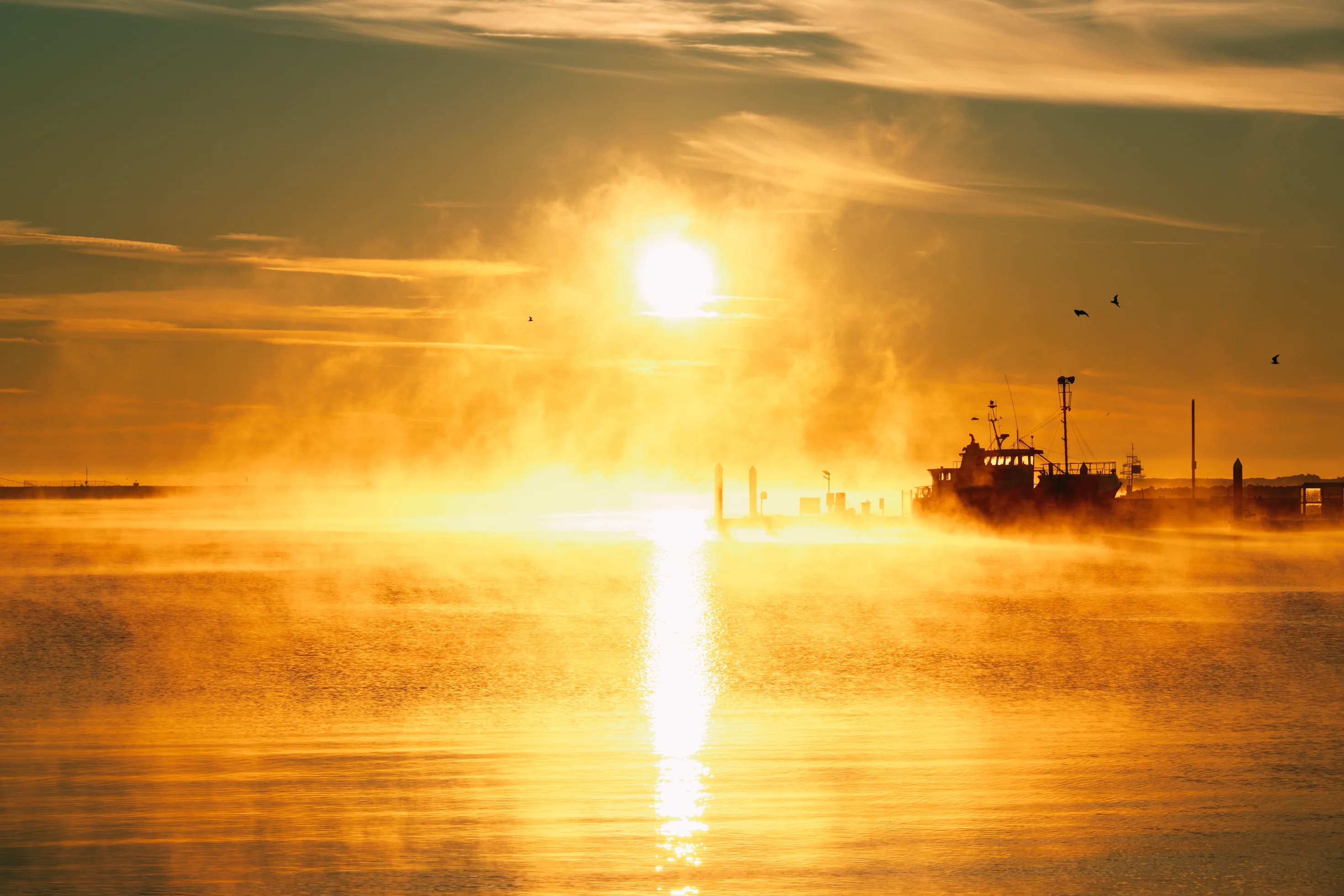 Portland Harbour at sunrise — mist over the water beside Bayside Cafe